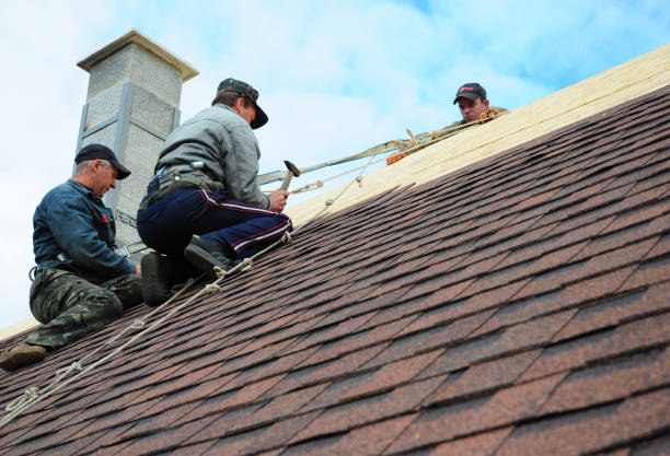 Best Local Roofing Companies  in Newark, TX